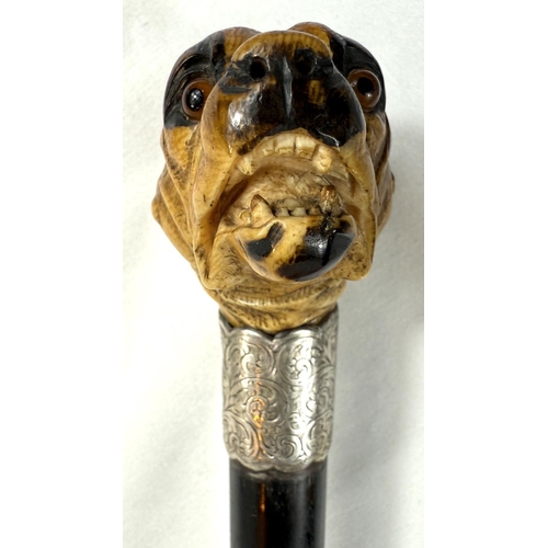 16 - A 19th Century ebony walking stick with carved ivory finial of a rottweiler, 90cms..Submission refer... 