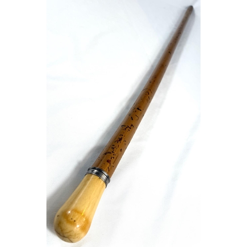 17 - A late-Georgian Malacca cane stick with polished ivory finial, 94cms. Reference: G5WNTFU5