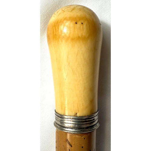 17 - A late-Georgian Malacca cane stick with polished ivory finial, 94cms. Reference: G5WNTFU5