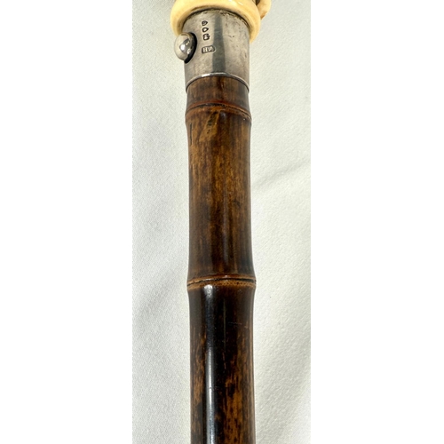 18 - A novelty 19th Century cane walking stick, the carved ivory finial in the form of a police constable... 