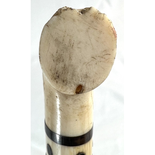 2 - A late 19th/early 20th Century Indian horn walking stick with ivory dot inlays and six others simila... 