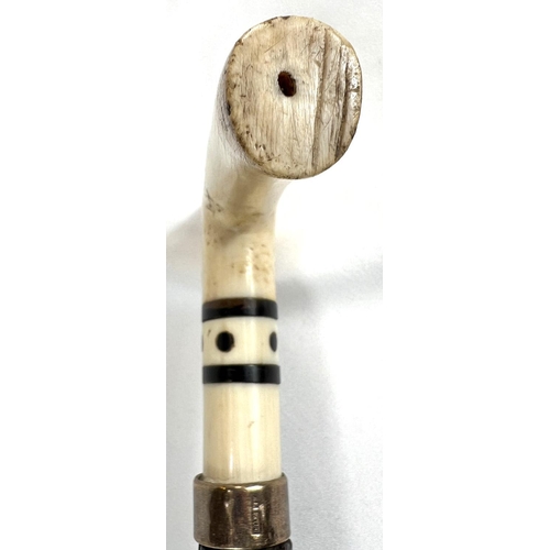 2 - A late 19th/early 20th Century Indian horn walking stick with ivory dot inlays and six others simila... 