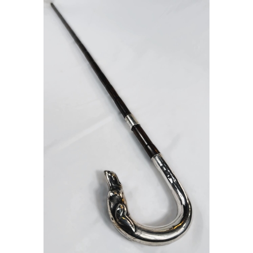 250 - An Edwardian period walking cane with silver loop handle having dog's head finial and presentation b... 