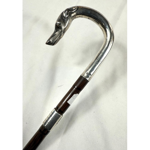 250 - An Edwardian period walking cane with silver loop handle having dog's head finial and presentation b... 