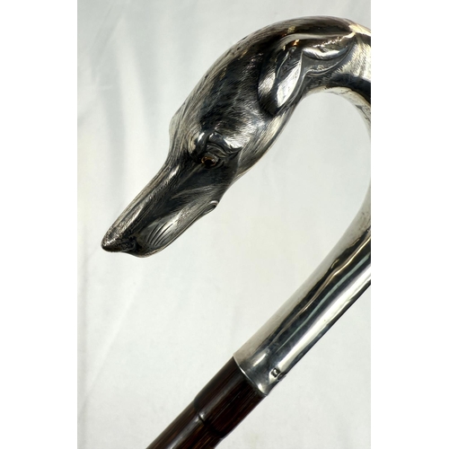 250 - An Edwardian period walking cane with silver loop handle having dog's head finial and presentation b... 