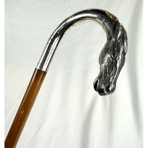 254 - An Edwardian cane riding stick with silver loop handle having horse's head finial and engraved 'Arth... 