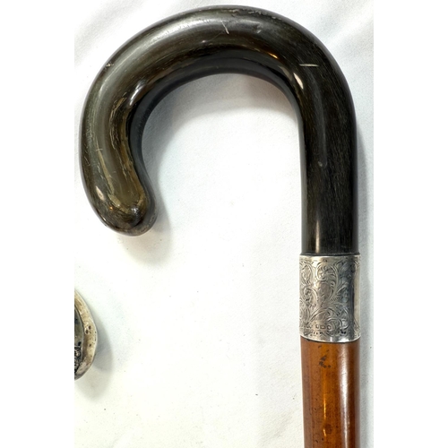 36 - A vintage Malacca cane walking stick with horn loop handle and silver mount, 95cm, and two others.