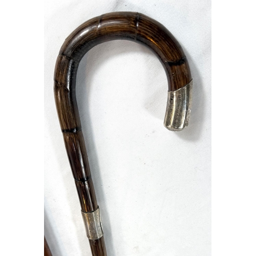 36 - A vintage Malacca cane walking stick with horn loop handle and silver mount, 95cm, and two others.