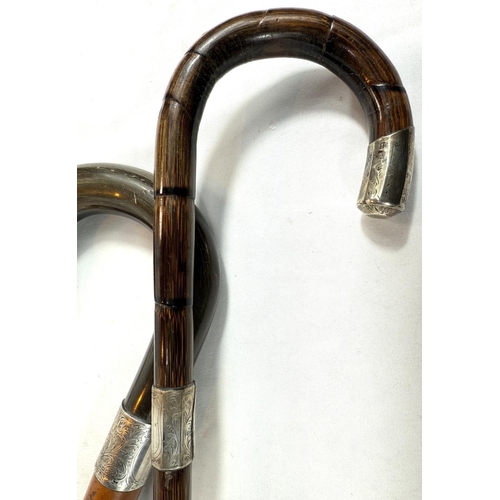 36 - A vintage Malacca cane walking stick with horn loop handle and silver mount, 95cm, and two others.