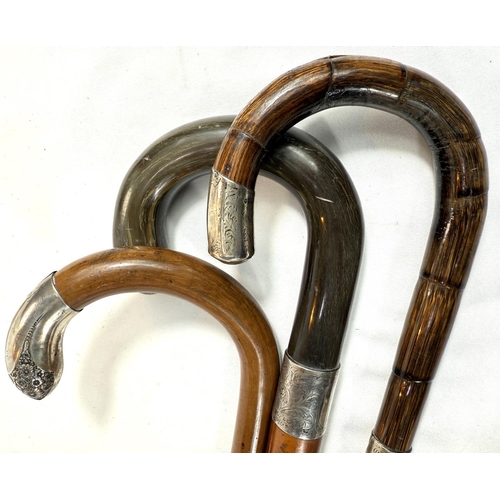 36 - A vintage Malacca cane walking stick with horn loop handle and silver mount, 95cm, and two others.