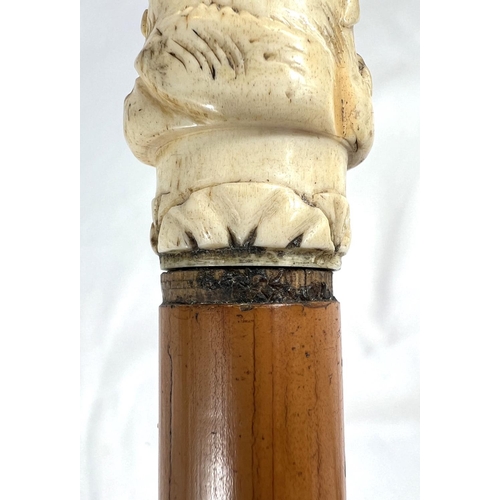 4 - A 19th Century ebony stick with carved ivory finial of a fierce dog, 89cms, and two other 19th Centu... 