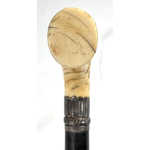 4 - A 19th Century ebony stick with carved ivory finial of a fierce dog, 89cms, and two other 19th Centu... 