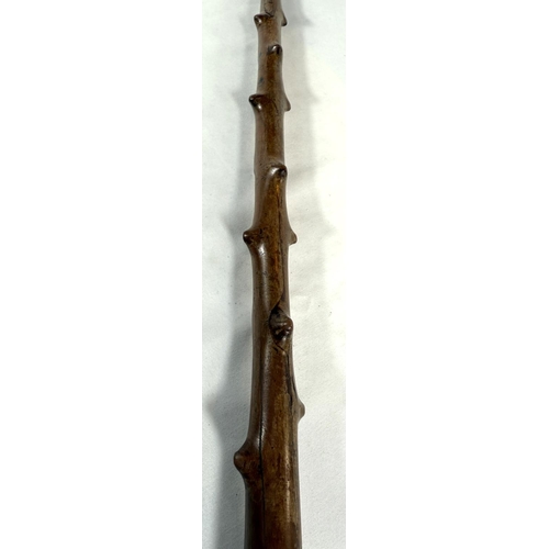 40 - A vintage branched wooden walking cane with carved rodent finial, 89cm.