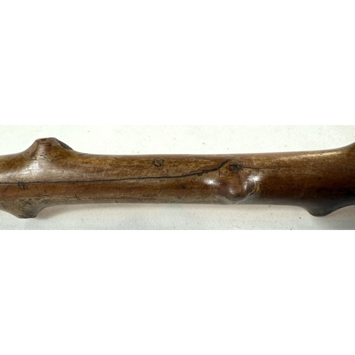 40 - A vintage branched wooden walking cane with carved rodent finial, 89cm.