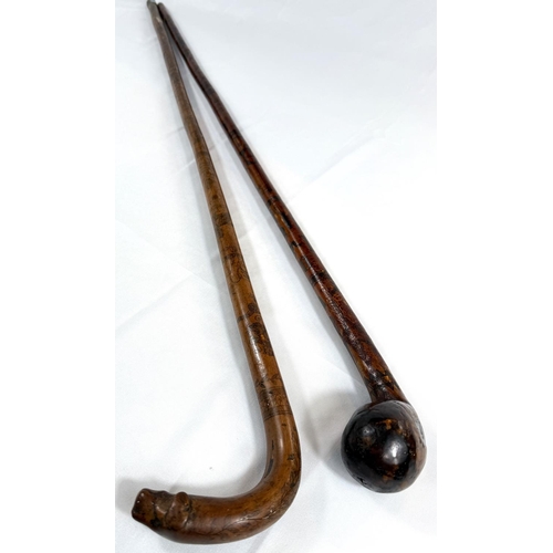 42 - A 19th Century colonial walking stick with animal head terminal and engraved decoration with Royal c... 