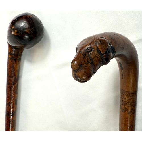 42 - A 19th Century colonial walking stick with animal head terminal and engraved decoration with Royal c... 