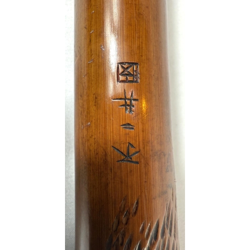 46 - A late 19th Century Japanese bamboo walking cane with carved naturalistic decoration, signed, 85cm.