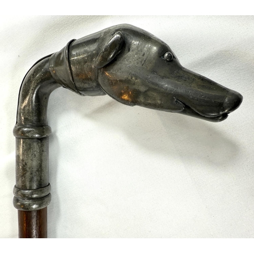 48 - A 19th Century stick with hardwood shaft and plated metal dog's head handle, 86cm.