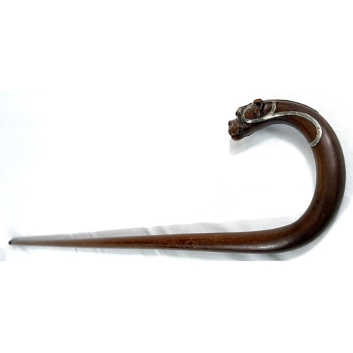 52 - A 19th Century walking stick, the looped handle with finial in the form of a dog's head, silver moun... 