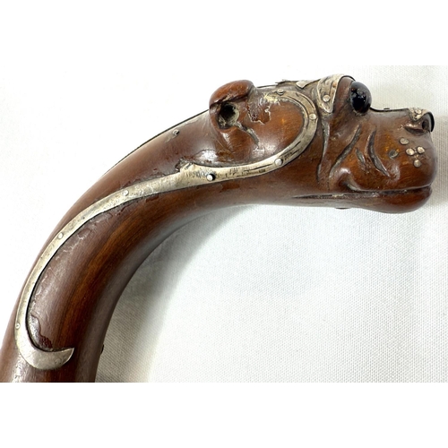 52 - A 19th Century walking stick, the looped handle with finial in the form of a dog's head, silver moun... 