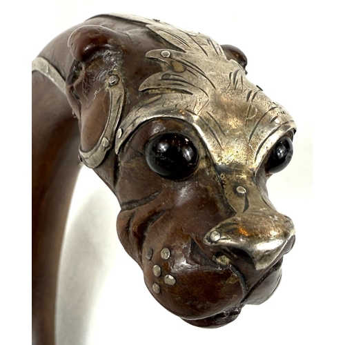 52 - A 19th Century walking stick, the looped handle with finial in the form of a dog's head, silver moun... 