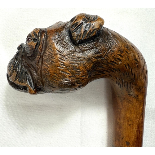 53 - A vintage walking stick with cane shaft and carved wood dog's head handle, 90cm.