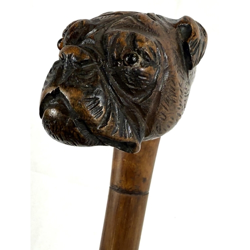 53 - A vintage walking stick with cane shaft and carved wood dog's head handle, 90cm.