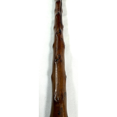 55 - A 19th Century sword stick with polished briar shaft and gilt metal mounted horn handle in the form ... 