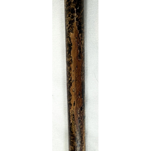 7 - A 19th Century walking stick with carved ivory elephant's head handle and silver band, 92cms, and si... 