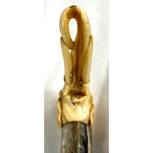 7 - A 19th Century walking stick with carved ivory elephant's head handle and silver band, 92cms, and si... 