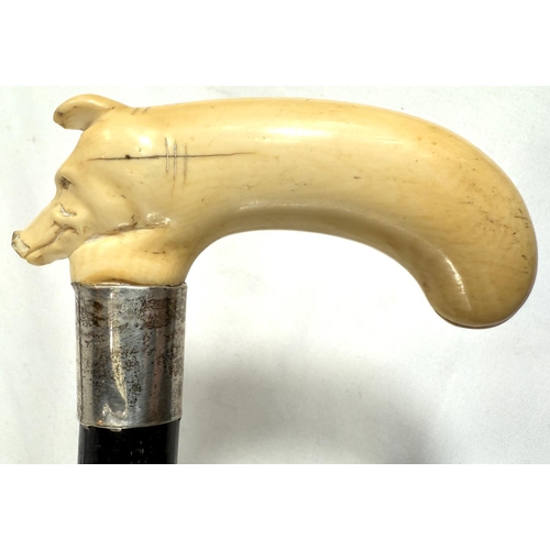 7 - A 19th Century walking stick with carved ivory elephant's head handle and silver band, 92cms, and si... 