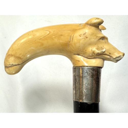 7 - A 19th Century walking stick with carved ivory elephant's head handle and silver band, 92cms, and si... 