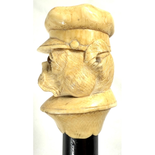 9 - A 19th Century walking stick with carved ivory finial of a bulldog in a driver's cap, 89cms.Submissi... 