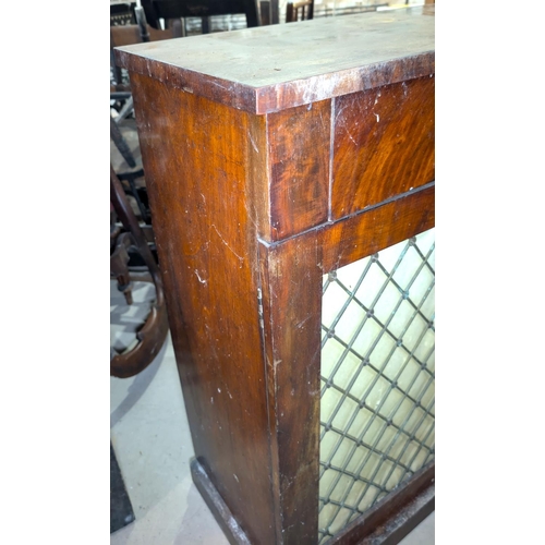 1028 - A Georgian mahogany side cabinet with 2 frieze drawers and twin doors with brass trellisware panels ... 