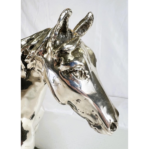 899 - A silvered metal sculpture of a horse on naturalistic bronzed base by 'D'Argenti', length 47cms.