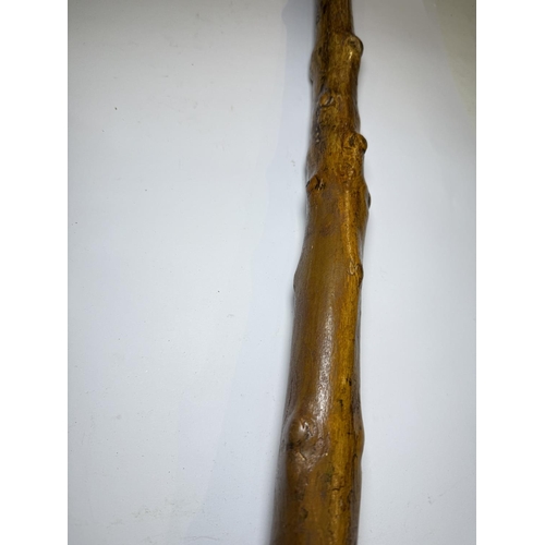 114 - A heavy natural wood finish staff with carved gargoyle finial, 112cm.