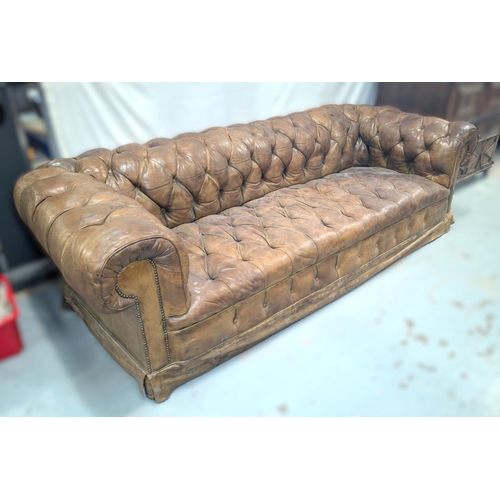 1100 - A very large late 19th/early 20th century tan hide scroll arm and back Chesterfield settee with butt... 