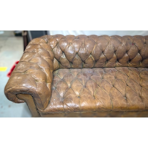 1100 - A very large late early to mid 20th century tan hide scroll arm and back Chesterfield settee with bu... 