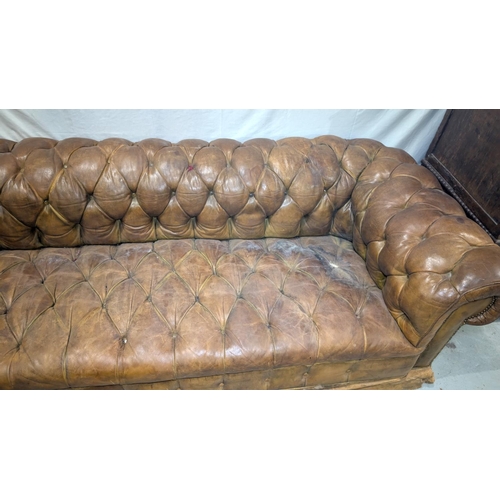 1100 - A very large late early to mid 20th century tan hide scroll arm and back Chesterfield settee with bu... 