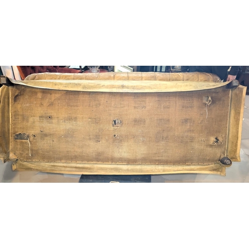 1100 - A very large late 19th/early 20th century tan hide scroll arm and back Chesterfield settee with butt... 