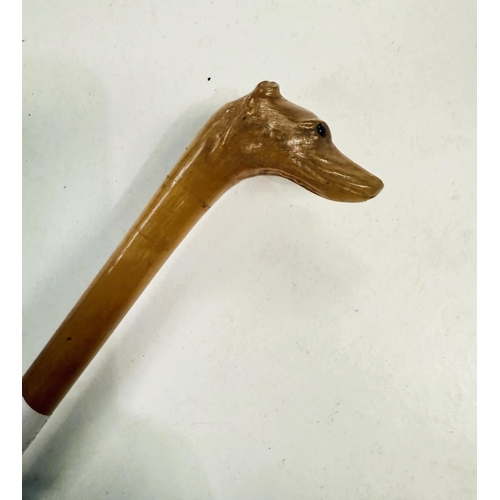 176 - An unusual 19th Century carved horn swagger stick with dog's head finial, 63cm.