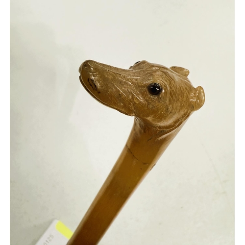 176 - An unusual 19th Century carved horn swagger stick with dog's head finial, 63cm.