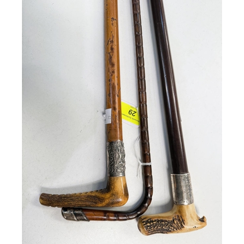 29 - A 19th Century stick with antler handle, 74cms, another with hallmarked silver mount, 92cms, and a d... 