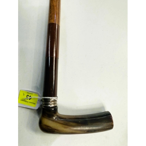 43 - A 19th Century horn-handled walking stick with specimen woods shaft, 97cm.