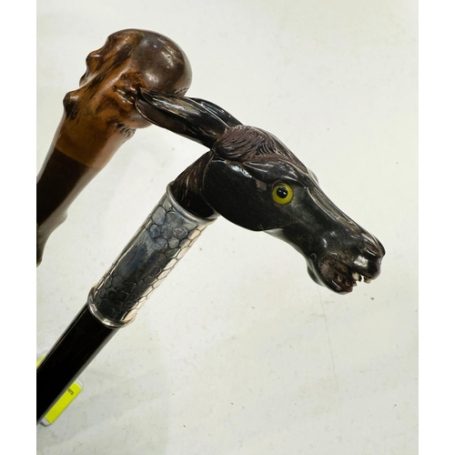 182 - A vintage walking cane with white metal collar and a carved horn handle in the form of a donkey's he... 