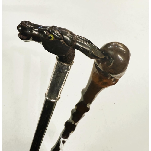 182 - A vintage walking cane with white metal collar and a carved horn handle in the form of a donkey's he... 