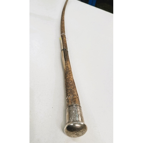 183 - A 19th Century stick formed from a marine tentacle with continental silver finial, 97cm.