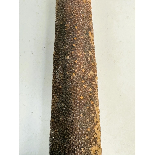 183 - A 19th Century stick formed from a marine tentacle with continental silver finial, 97cm.