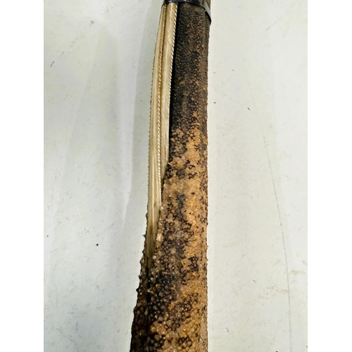 183 - A 19th Century stick formed from a marine tentacle with continental silver finial, 97cm.