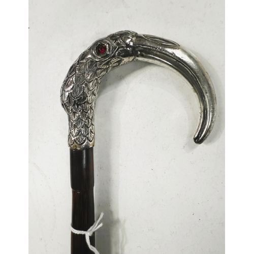 225 - A 19th Century lady's walking cane with white metal loop handle in the form of a hornbill, 87cm.